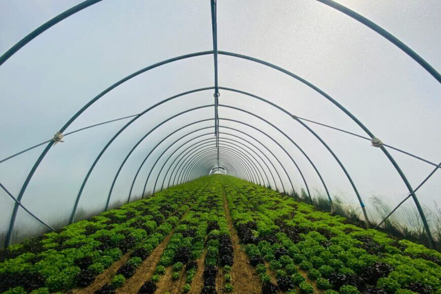 Why more farmers are switching to LPG