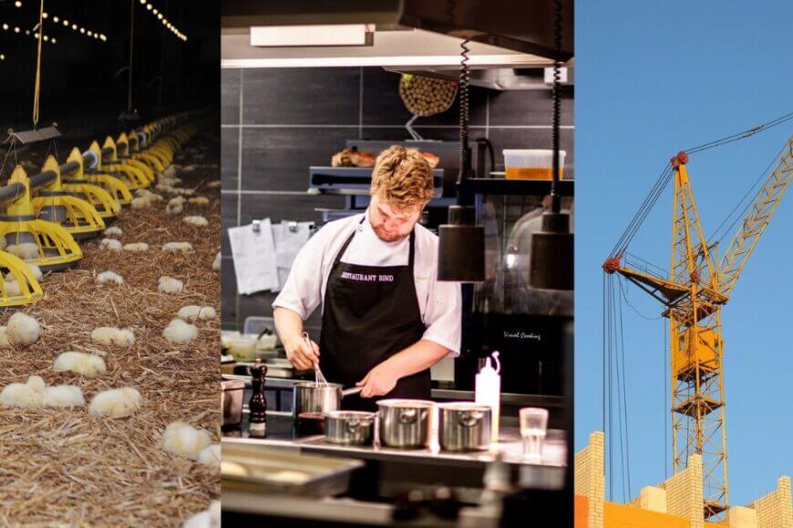 What Do Chickens, Chefs and Construction Sites Have in Common?